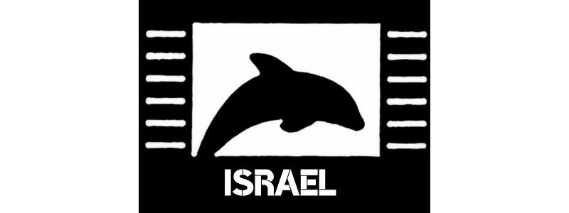 ISRAEL SOAP BASE