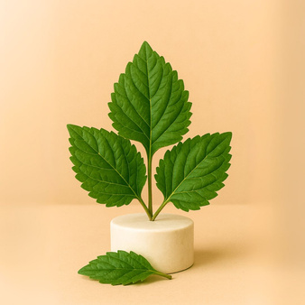 Naturalny olejek eteryczny Paczulowy 30g