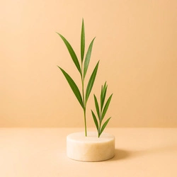 Naturalny olejek eteryczny Drzewo Herbaciane