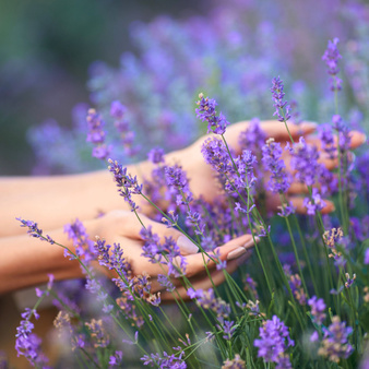 Zestaw do robienia tabliczek woskowych ZAWIESZKI ZAPACHOWE trzy kształty dla początkujących DIY