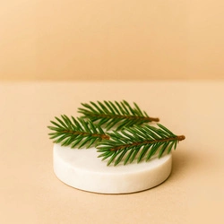 Naturalny olejek eteryczny z Igieł jodły 30g