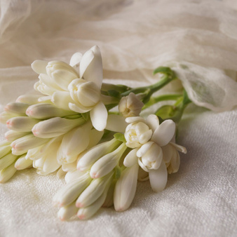 Olejek zapachowy TUBEROZA I KASZMIR do świec i mydła 500g