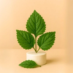 Naturalny olejek eteryczny Paczulowy 30g