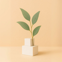 Naturalny olejek eteryczny Eukaliptusowy 30g