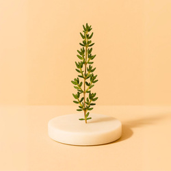 Naturalny olejek eteryczny Tymiankowy 30g