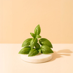 Naturalny olejek eteryczny Bazyliowy 30g