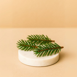 Naturalny olejek eteryczny z Igieł jodły