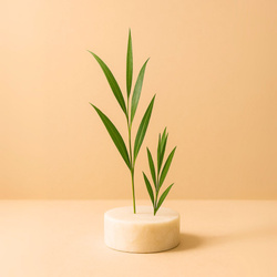 Naturalny olejek eteryczny Drzewo Herbaciane 30g