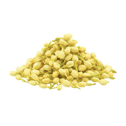 Suszony jaśmin całe pączki 10g 