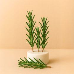 Naturalny olejek eteryczny Rozmarynowy