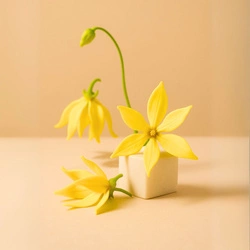 Naturalny olejek eteryczny Ylang Ylang 30g