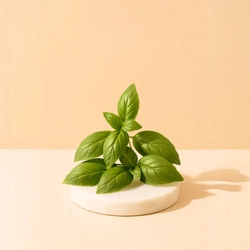 Naturalny olejek eteryczny Bazyliowy 30g