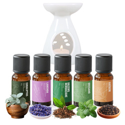 Zestaw olejków eterycznych NA KOMARY – 5x10ml | Skuteczne odstraszanie owadów
